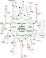 Deep Clearing of the 12 Ordinary Meridians with Krihanash Belvaspata and Rune Protocols - Image 3