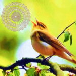 Creating Power Objects with the Bird Clock
