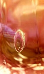 Alchemical Sole ~ Turning Dead Water to Holy and Vitalizing Instantaneously - Image 2