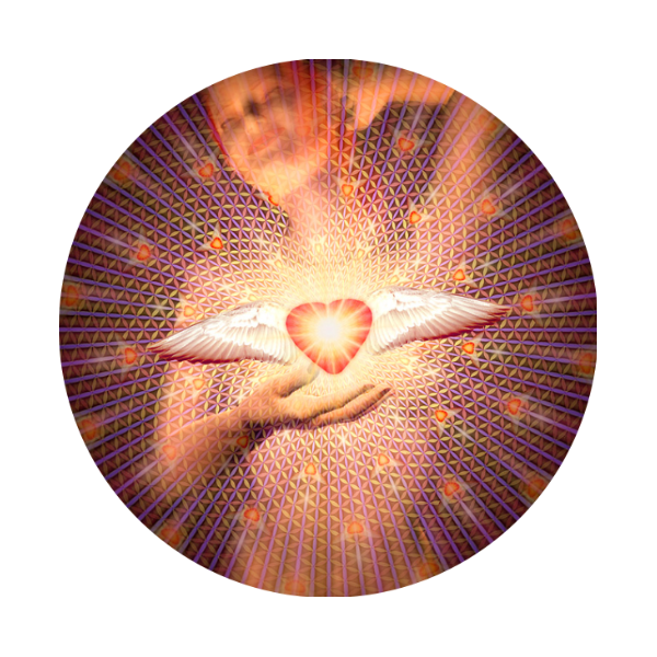 rose-quartz-regeneration-tools