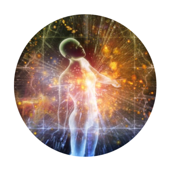 the-evolved-meridian-system